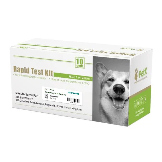 Prawf Gwrthgyrff Canine Brucella