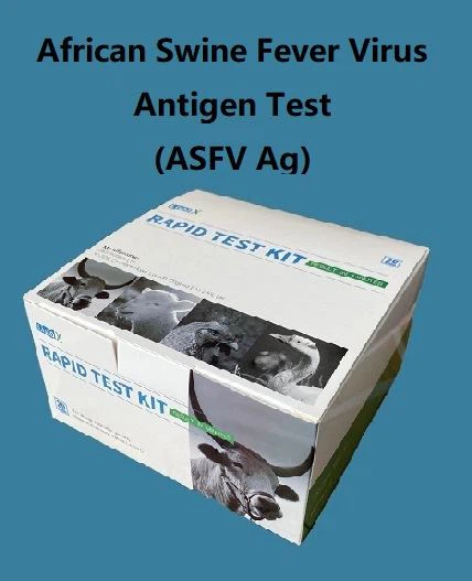 Prawf Antigen Feirws Clwy Affricanaidd y Moch
