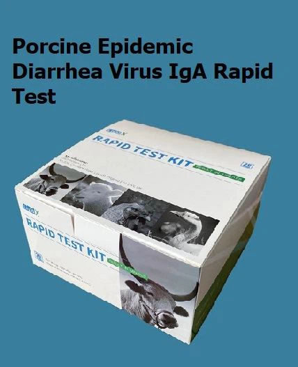Prawf Cyflym IgA Feirws Dolur rhydd epidemig mochyn (PEDV-IgA)