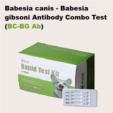 Prawf Combo BC BG